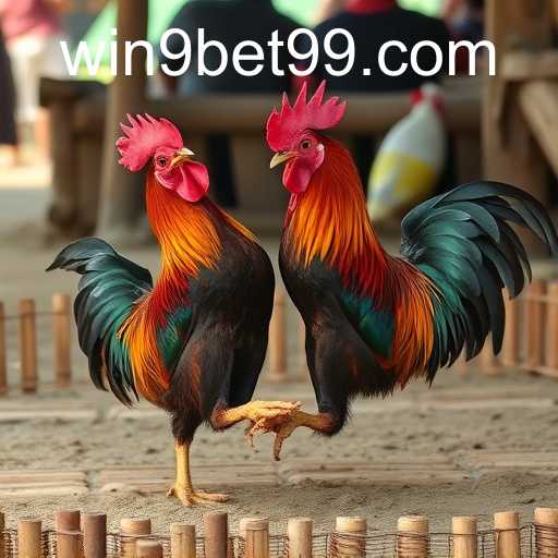 poker heads-up um contra um